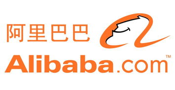 東莞電商培訓(xùn)機構(gòu)選擇指南 如何挑選適合你的優(yōu)質(zhì)課程