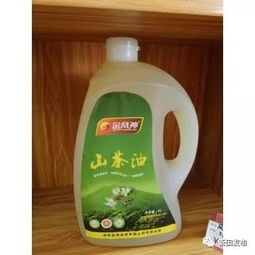 新田縣農(nóng)產(chǎn)品電商零售額突破八千萬，食用農(nóng)產(chǎn)品零售領(lǐng)跑市場