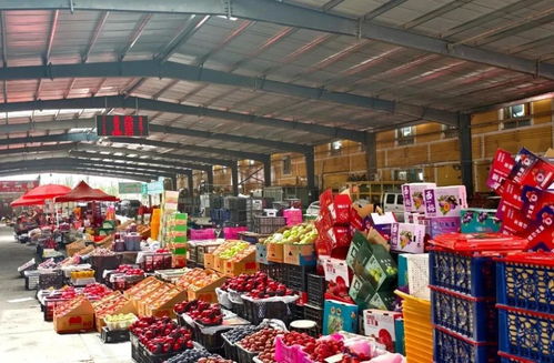 元旦市場(chǎng)供應(yīng)充足，新鮮水果喜迎佳節(jié)